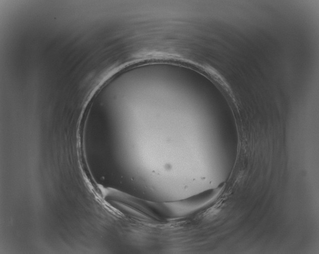 X0000054421287200507291239