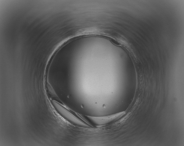 X0000054421288200507291239