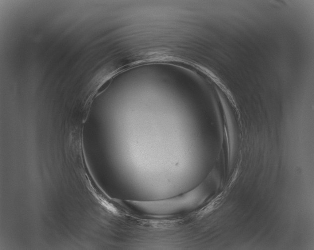 X0000054421289200507291239