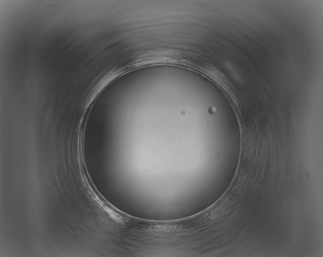 X0000054421290200507291239