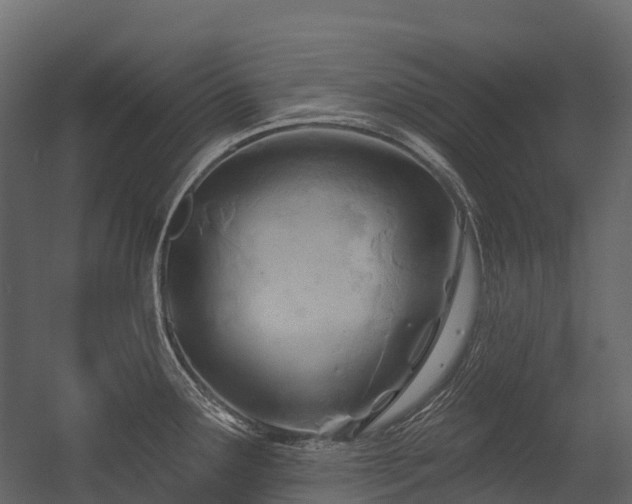 X0000054421291200507291239