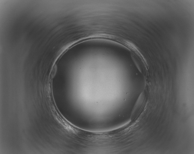 X0000054421292200507291239