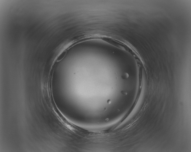 X0000054421293200507291239