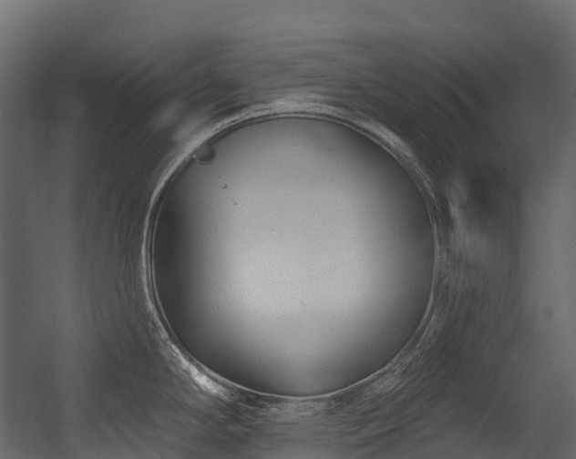 X0000054421294200507291239