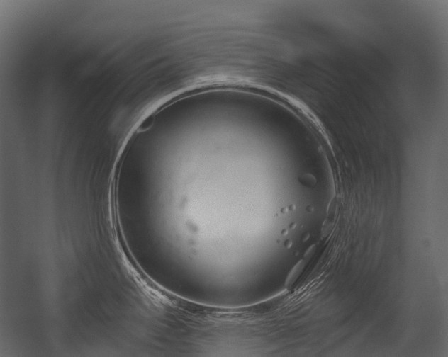 X0000054421295200507291239