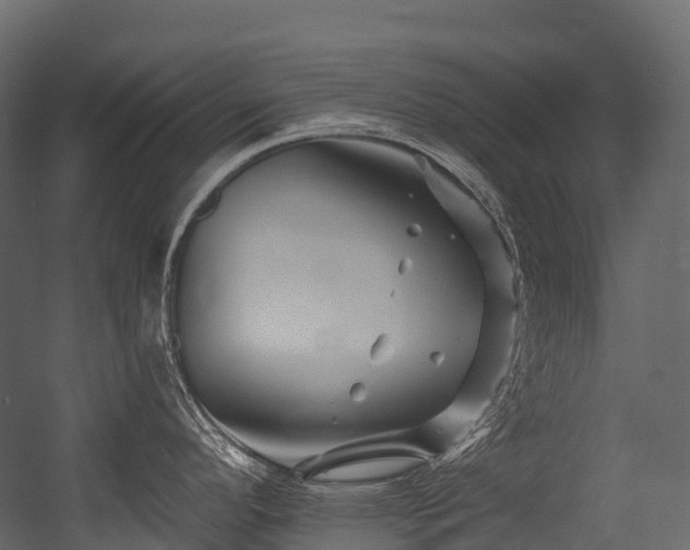 X0000054421296200507291239