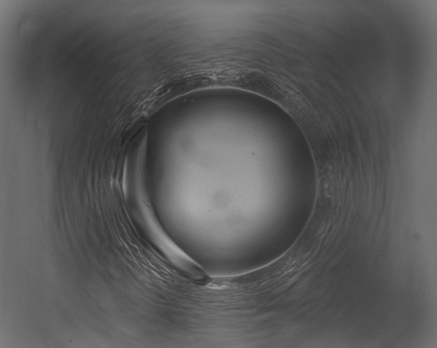 X0000054421298200507291238