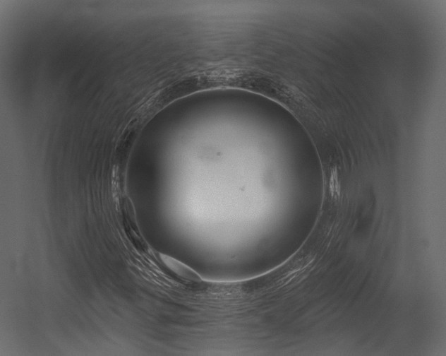 X0000054421299200507291238