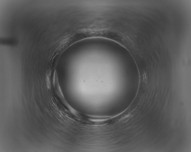 X0000054421300200507291238