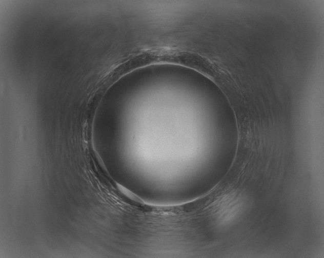 X0000054421301200507291238