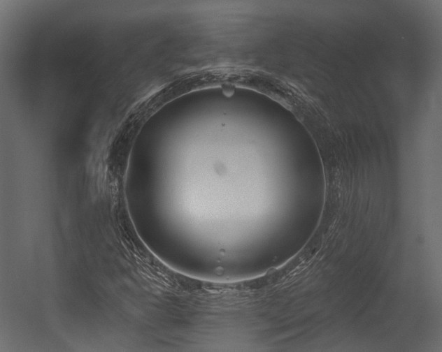 X0000054421302200507291238