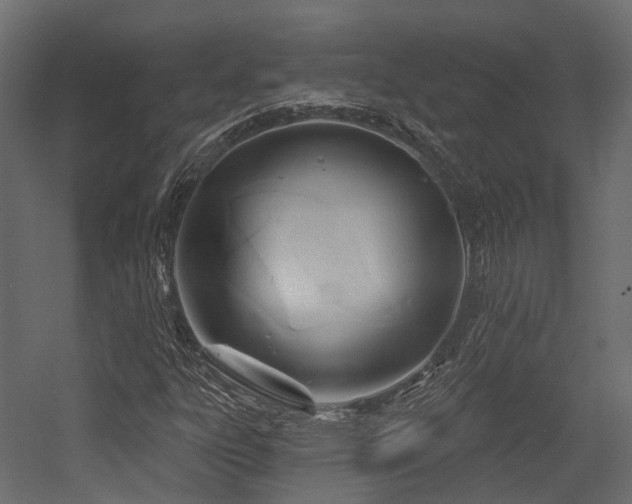 X0000054421303200507291238