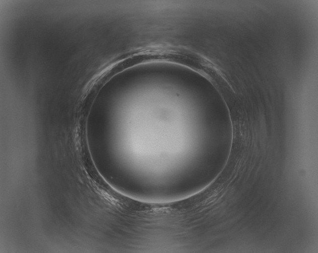 X0000054421304200507291238