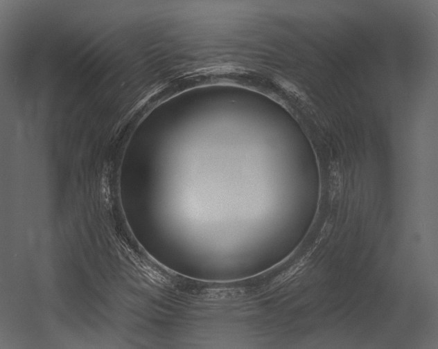 X0000054421305200507291238