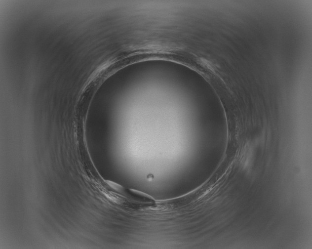 X0000054421307200507291238