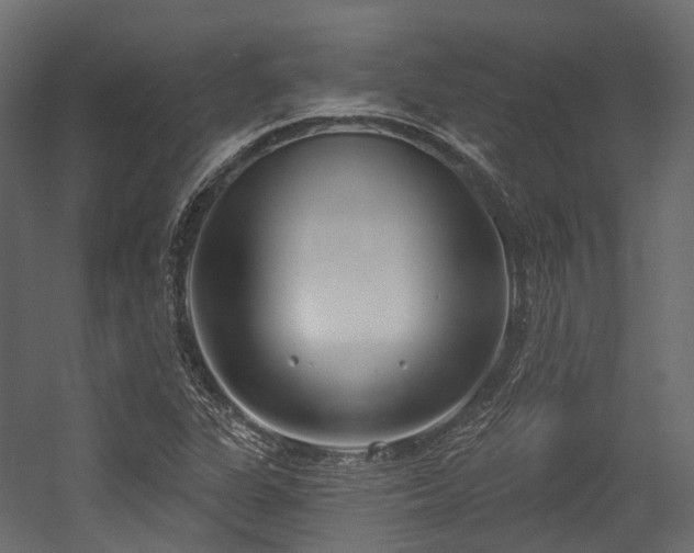 X0000054421311200507291239