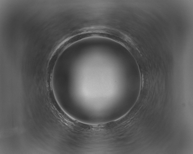 X0000054421312200507291239