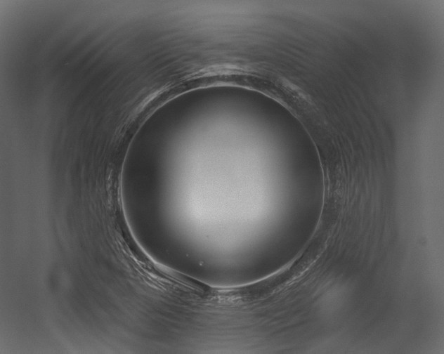 X0000054421313200507291239