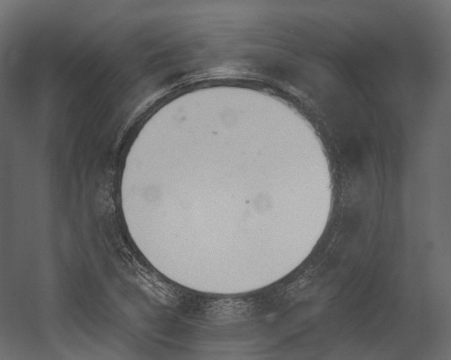 X0000054421314200507291239