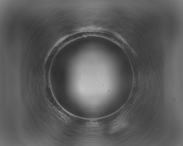 X0000054421315200507291239