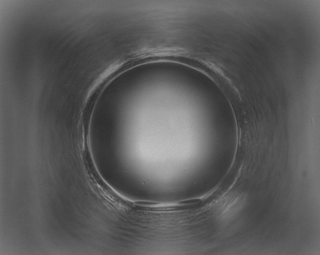 X0000054421317200507291239