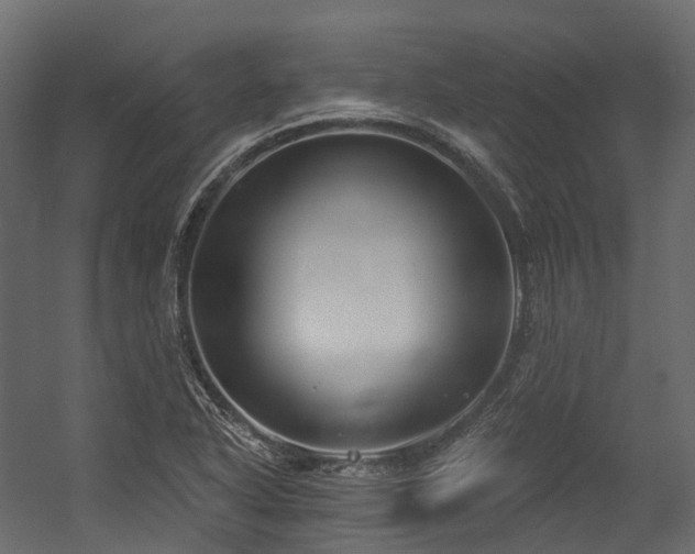 X0000054421318200507291239