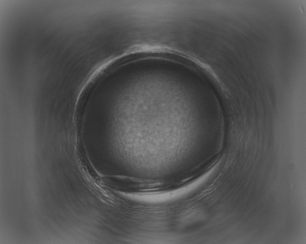 X0000054421319200507291239