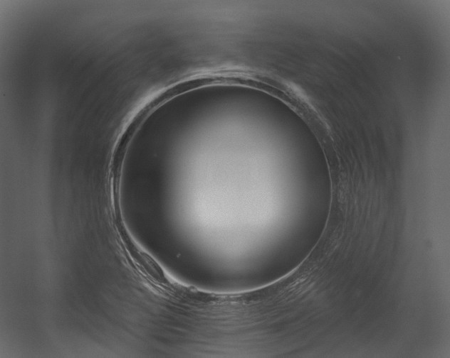 X0000054421320200507291239