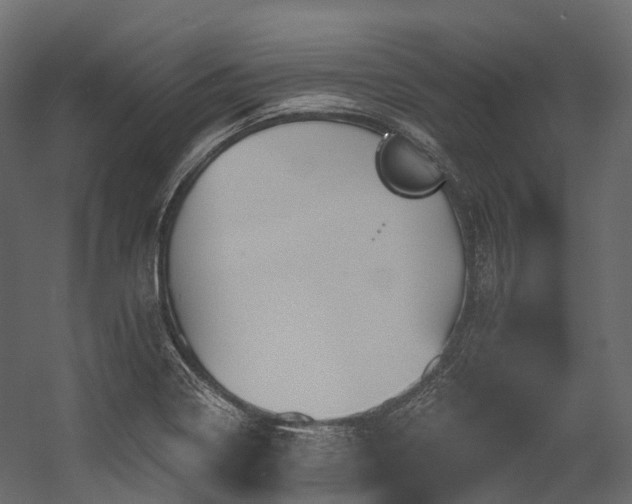 X0000054421322200507291239