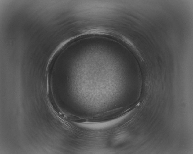 X0000054421323200507291239