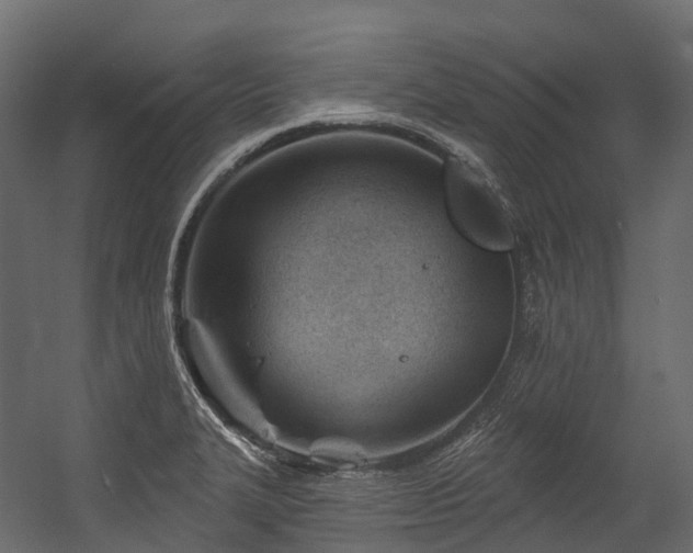 X0000054421327200507291239