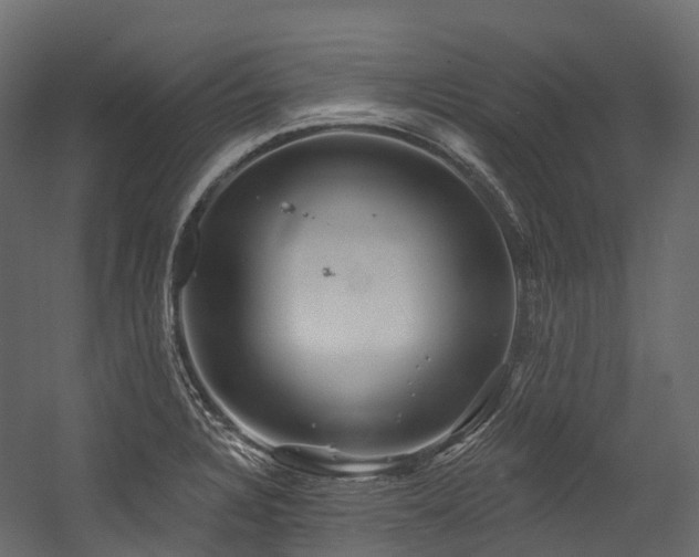 X0000054421328200507291239