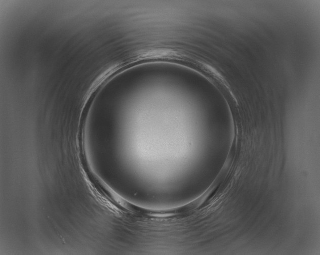 X0000054421330200507291239