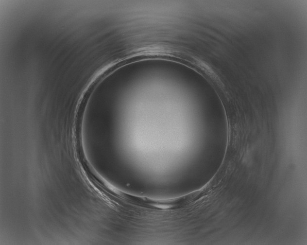 X0000054421331200507291239