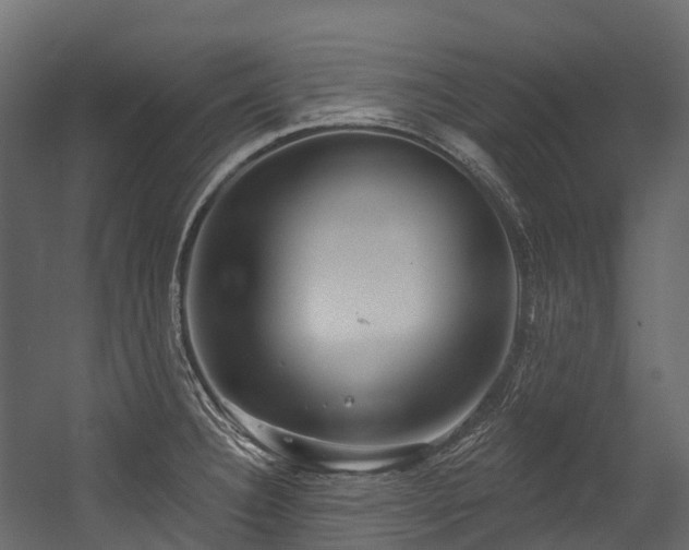 X0000054421332200507291239