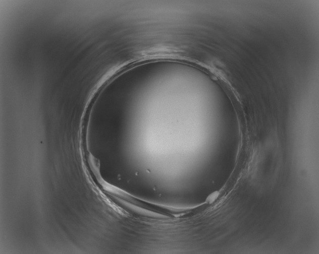 X0000054421333200507291239