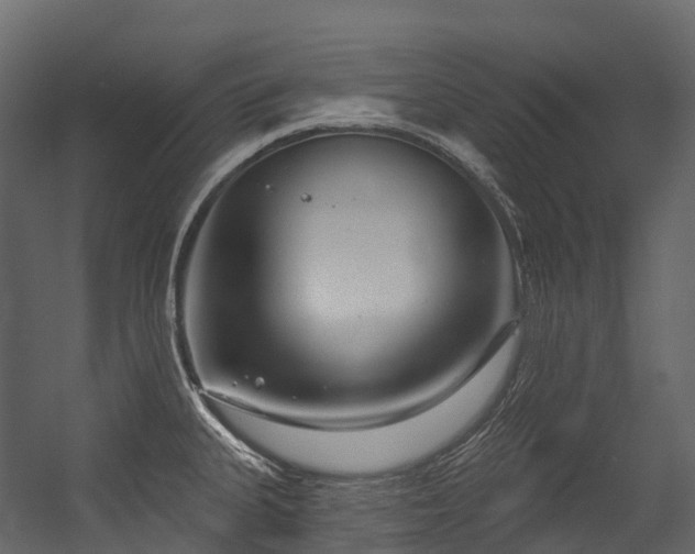 X0000054421335200507291239