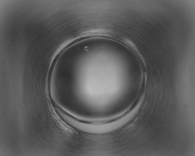 X0000054421336200507291239