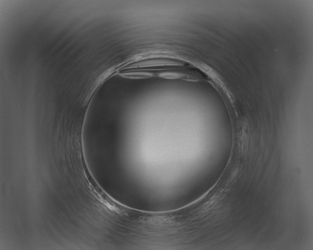 X0000054421337200507291239