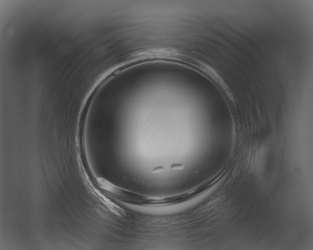 X0000054421339200507291239