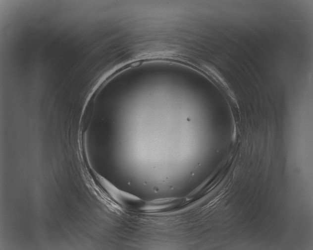 X0000054421340200507291239