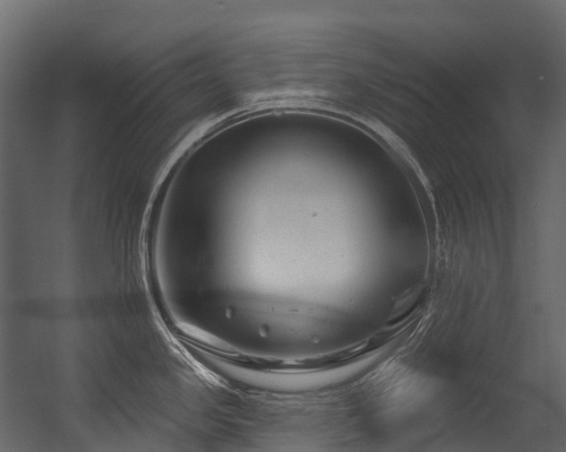 X0000054421341200507291239