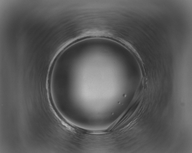 X0000054421343200507291239