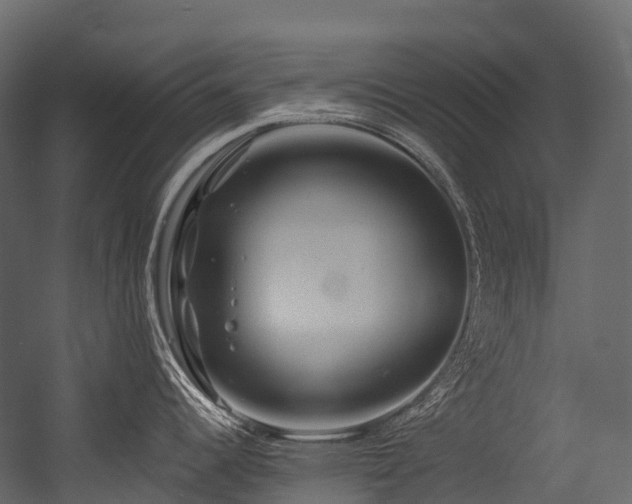 X0000054421344200507291239