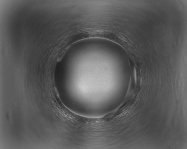 X0000054421345200507291238