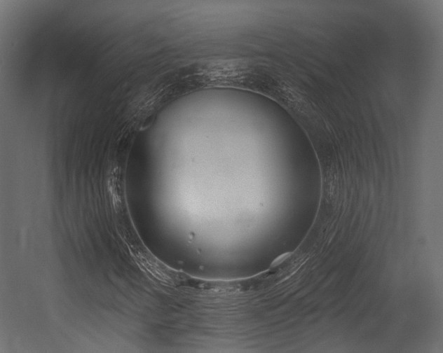 X0000054421346200507291238