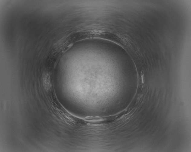 X0000054421347200507291238