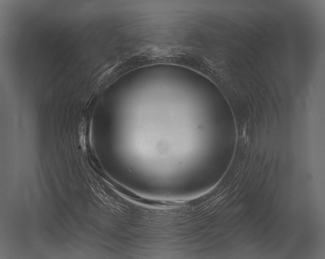 X0000054421348200507291238