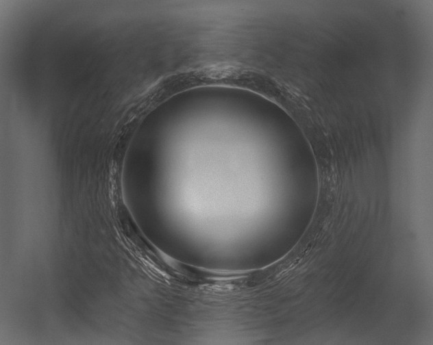 X0000054421349200507291238