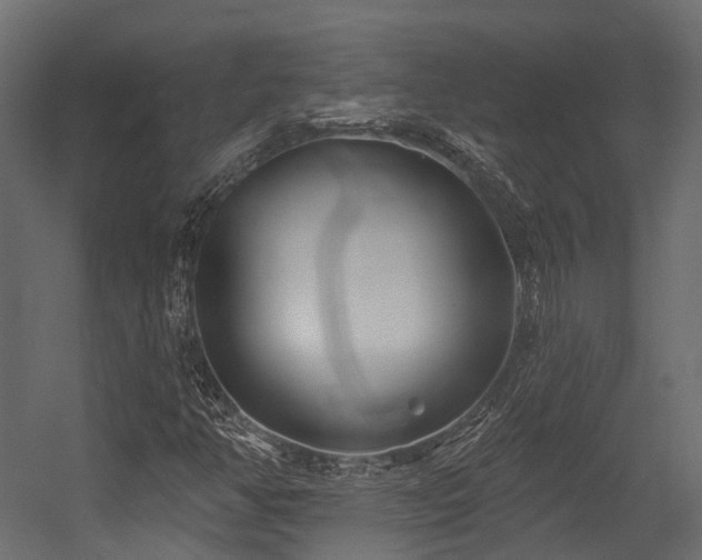 X0000054421350200507291238